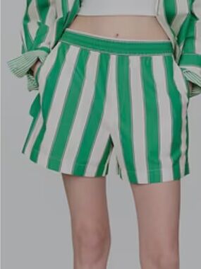 GAP Green and White Vertical Stripe Women's Shorts